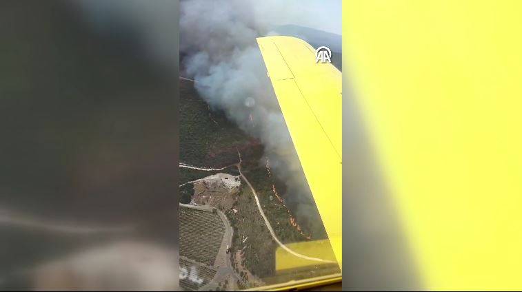 Urla'da orman yangını! Havadan ve karadan yoğun müdahale sürüyor 13